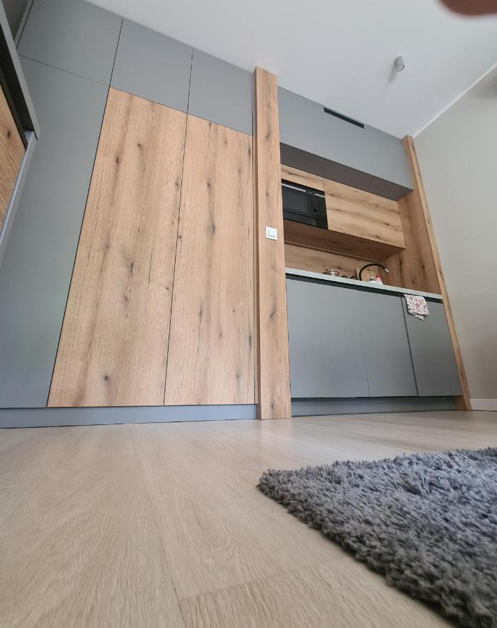 Mostowa 23 Bruno Apartment, Self Check-In 24H, Free Parking, Air-Conditioning Πόζναν Εξωτερικό φωτογραφία
